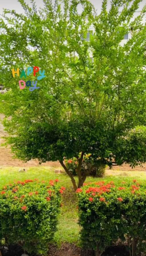 Apartamento, Zona Leste, Otima Localizacao. Teresina Bagian luar foto